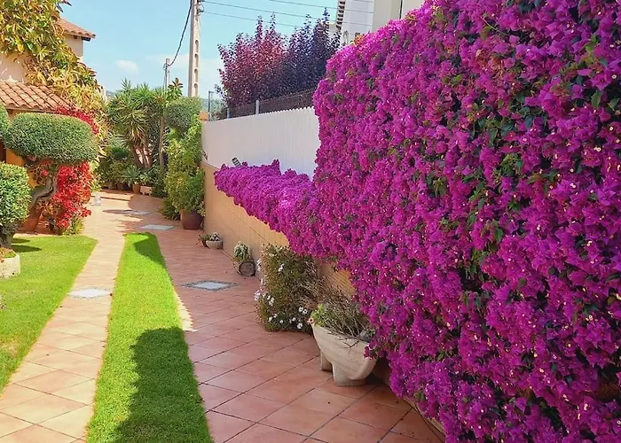Casa Con Jardin En Roda de Bará