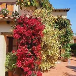 Casa Con Jardin En Vakantiehuis Roda de Bará