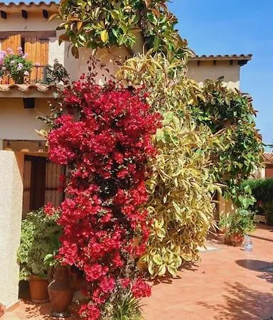 Casa Con Jardin En Σπίτι διακοπών Roda de Bará