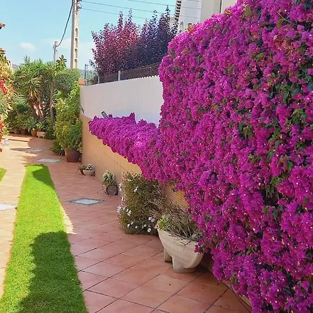 Casa Con Jardin En Roda de Bará