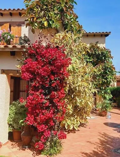 Casa Con Jardin En 펜션 Roda de Bará